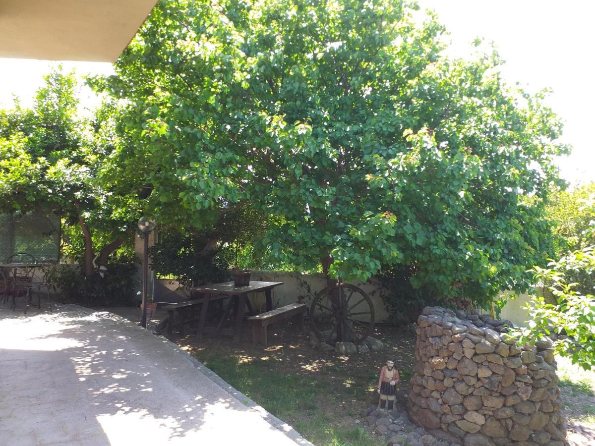 B&B Antica Botte Σάσαρι Εξωτερικό φωτογραφία