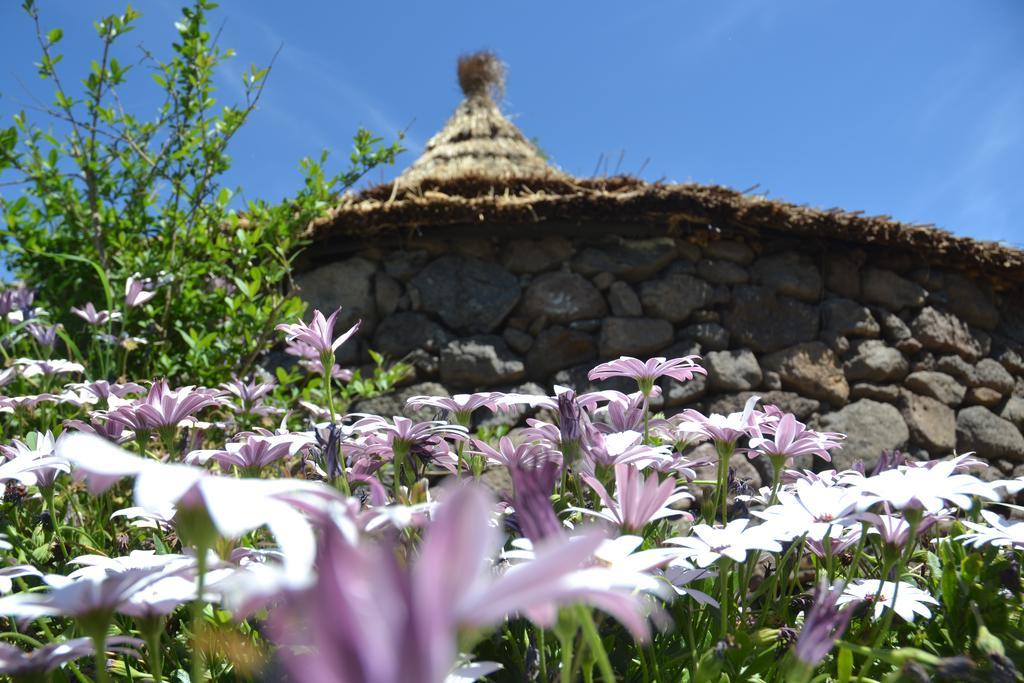 B&B Antica Botte Σάσαρι Εξωτερικό φωτογραφία