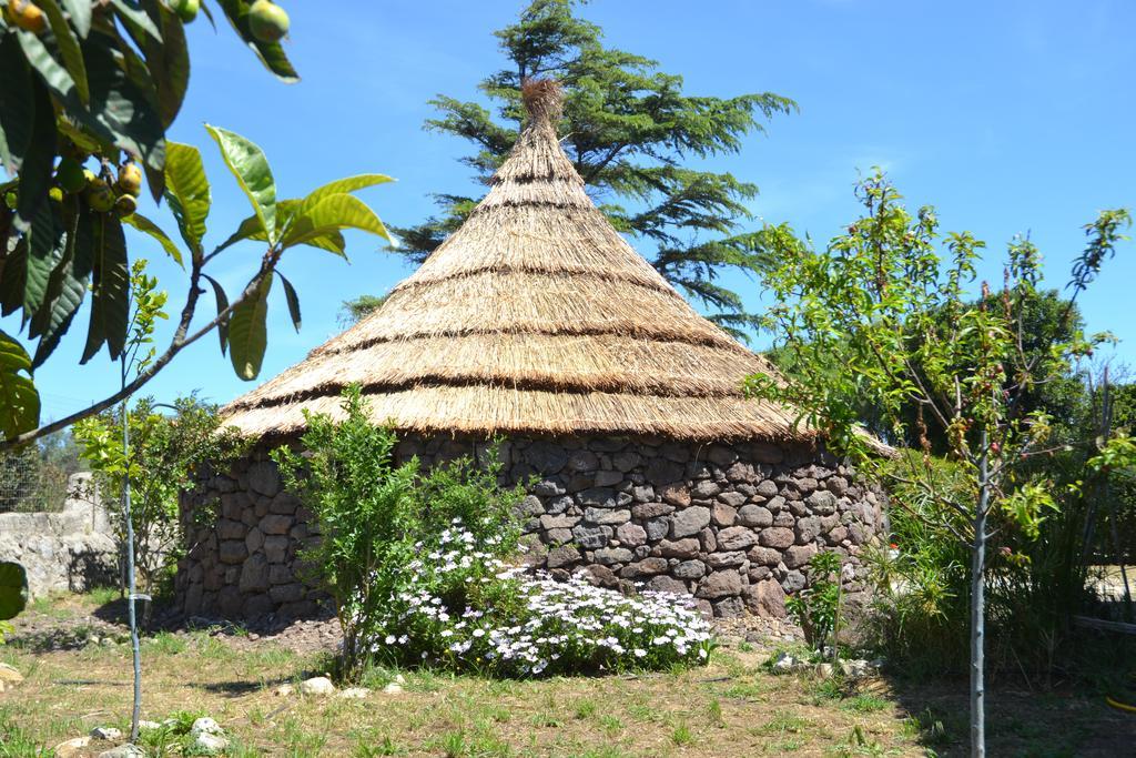 B&B Antica Botte Σάσαρι Εξωτερικό φωτογραφία